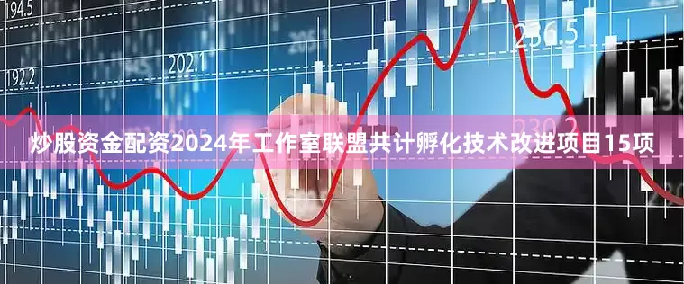 炒股资金配资2024年工作室联盟共计孵化技术改进项目15项