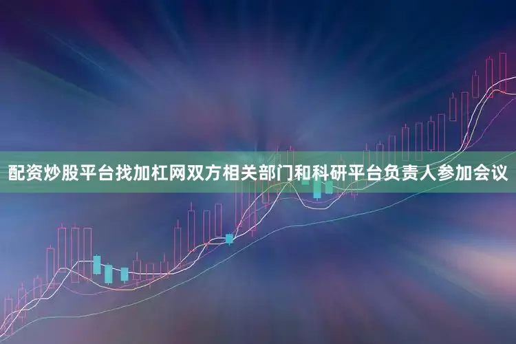 配资炒股平台找加杠网双方相关部门和科研平台负责人参加会议