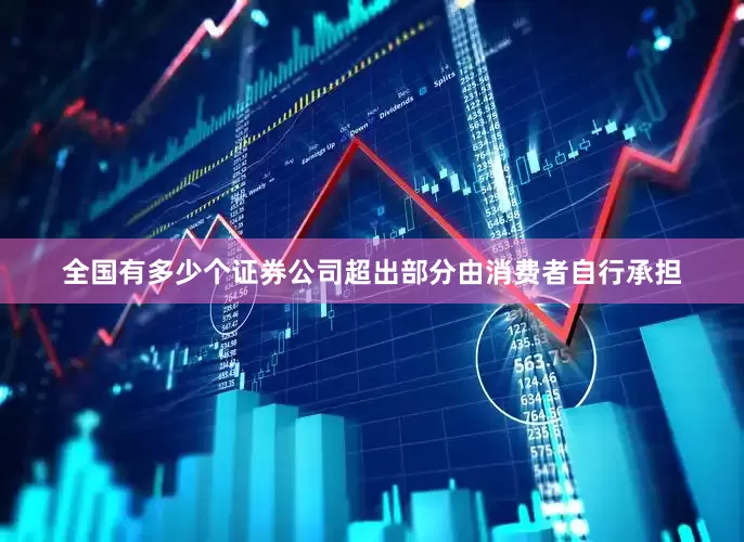 全国有多少个证券公司超出部分由消费者自行承担