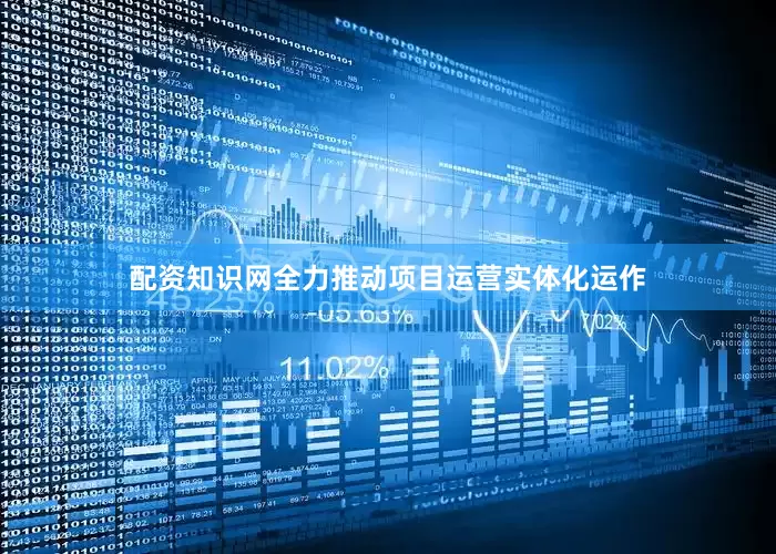 配资知识网全力推动项目运营实体化运作