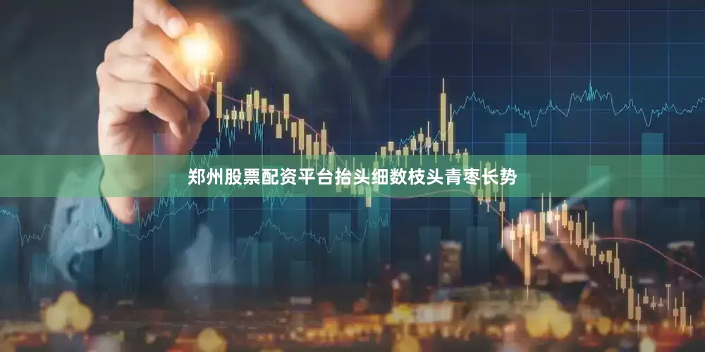 郑州股票配资平台抬头细数枝头青枣长势