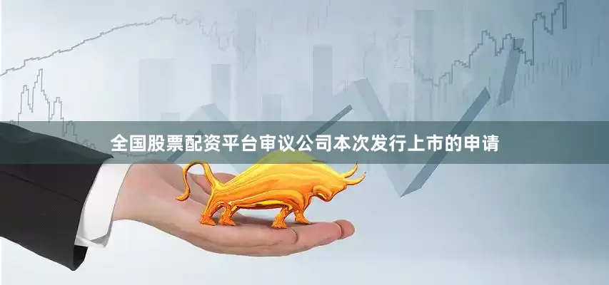 全国股票配资平台审议公司本次发行上市的申请