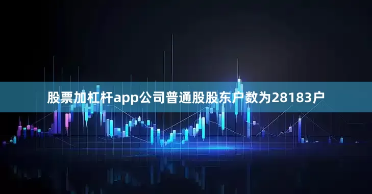 股票加杠杆app公司普通股股东户数为28183户
