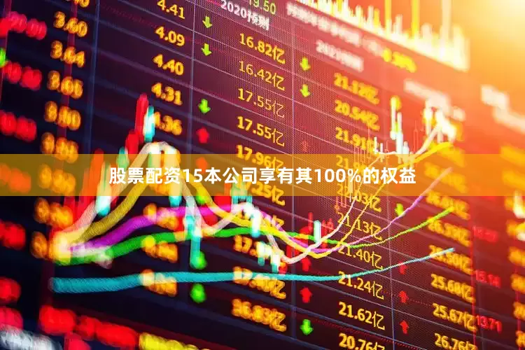 股票配资15本公司享有其100%的权益